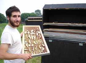 Dried mushrooms on a rack